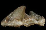 Dogtooth Calcite Crystal Cluster - Morocco #96845-1